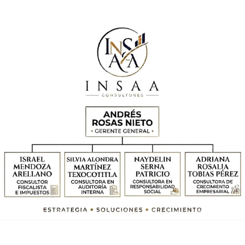 Organigrama Institucional INSAA